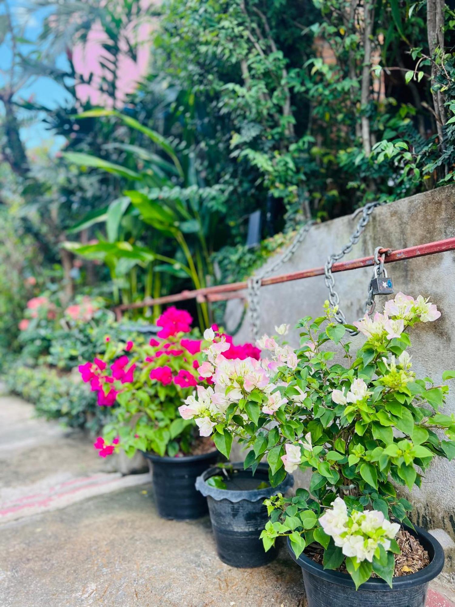 Boutique House Nipha Leilighet Chiang Mai Eksteriør bilde