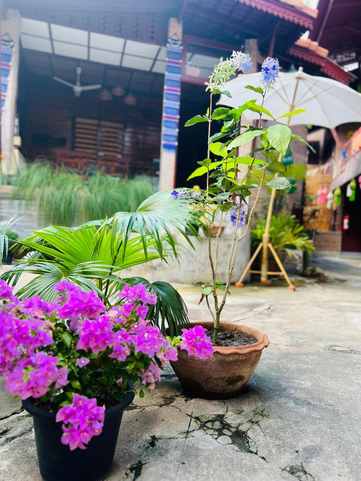 Boutique House Nipha Leilighet Chiang Mai Eksteriør bilde